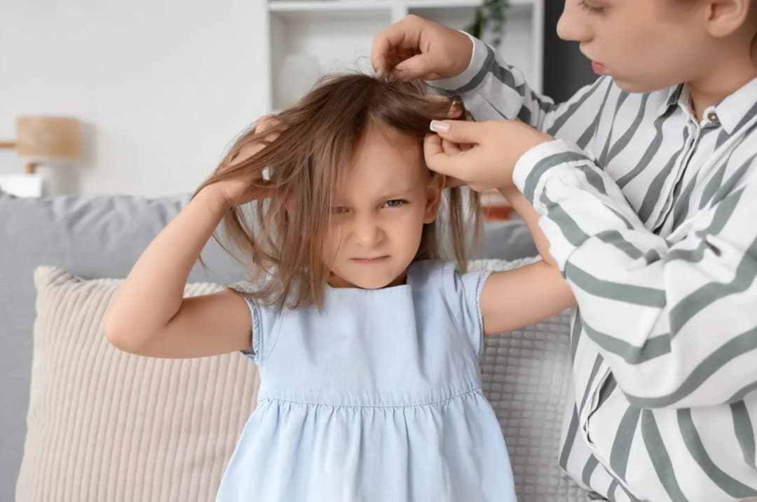 Czy znasz prawdziwe przyczyny wszawicy?