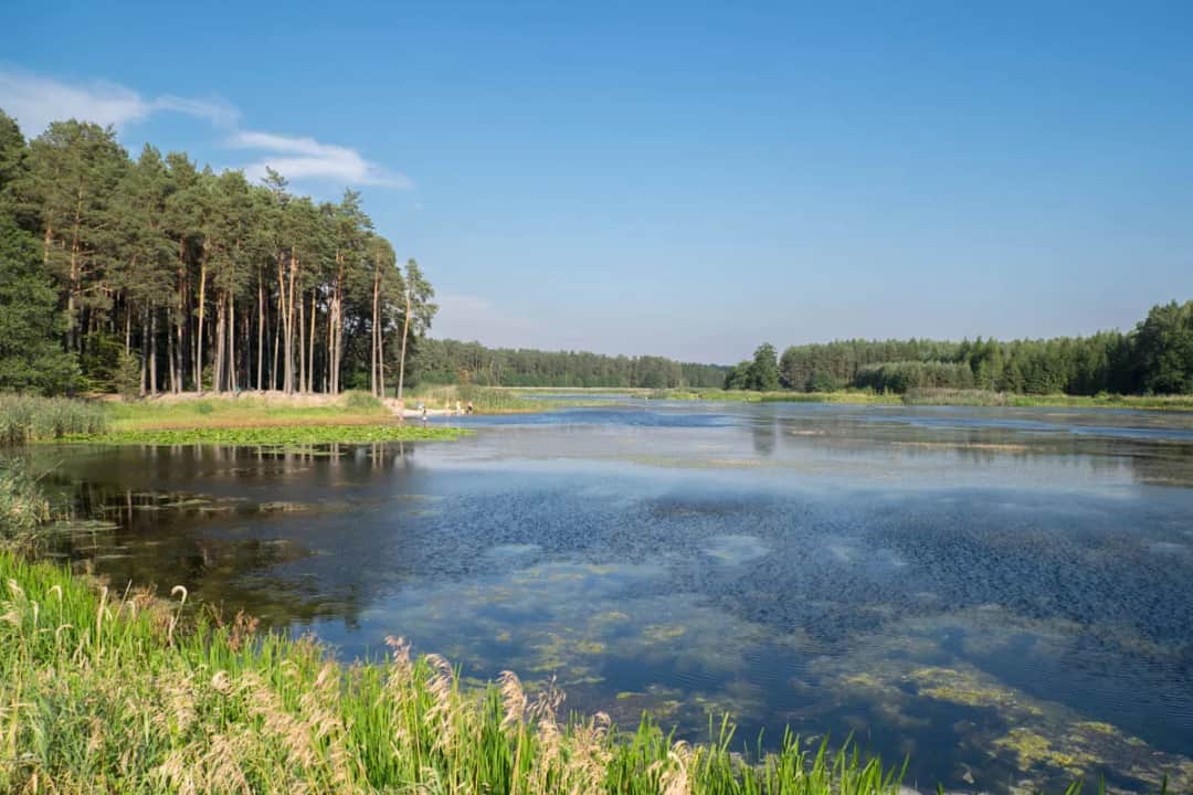 Co zwiedzić na Roztoczu? Najciekawsze miejsca i atrakcje