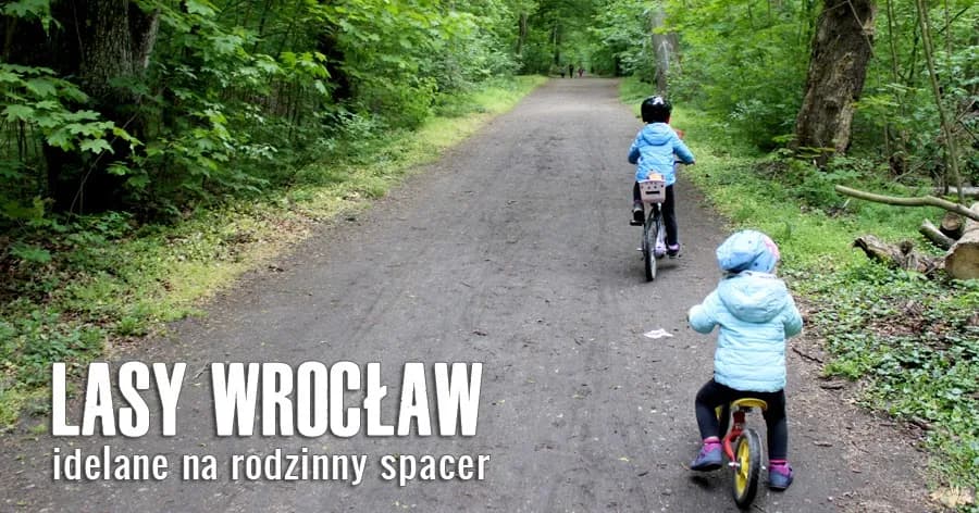 Gdzie na spacer z dzieckiem we Wrocławiu? Odkryj najlepsze miejsca